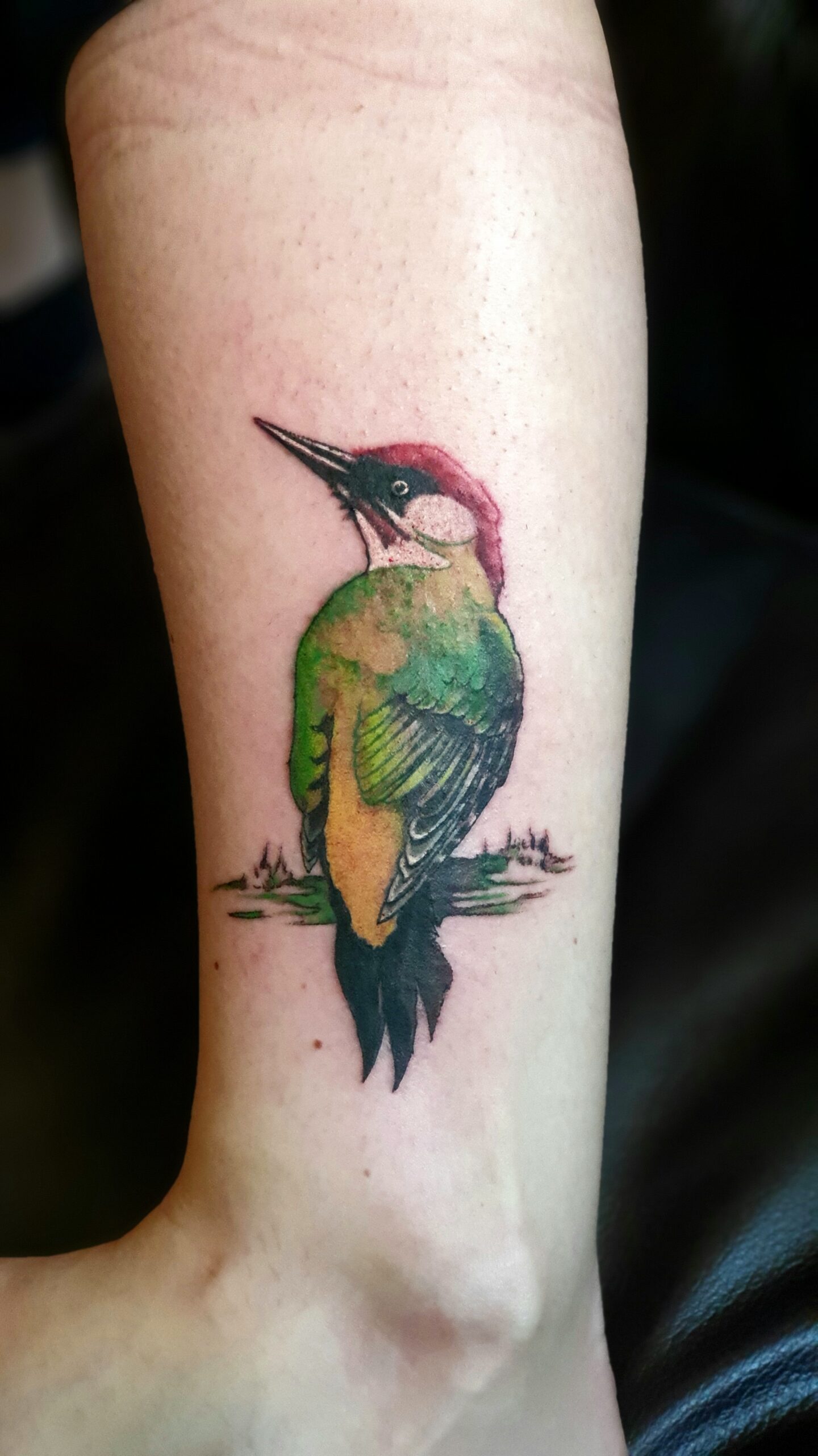 Dzięcioł ptak tatuaż kolorowy Wrocław Guru Tattoo