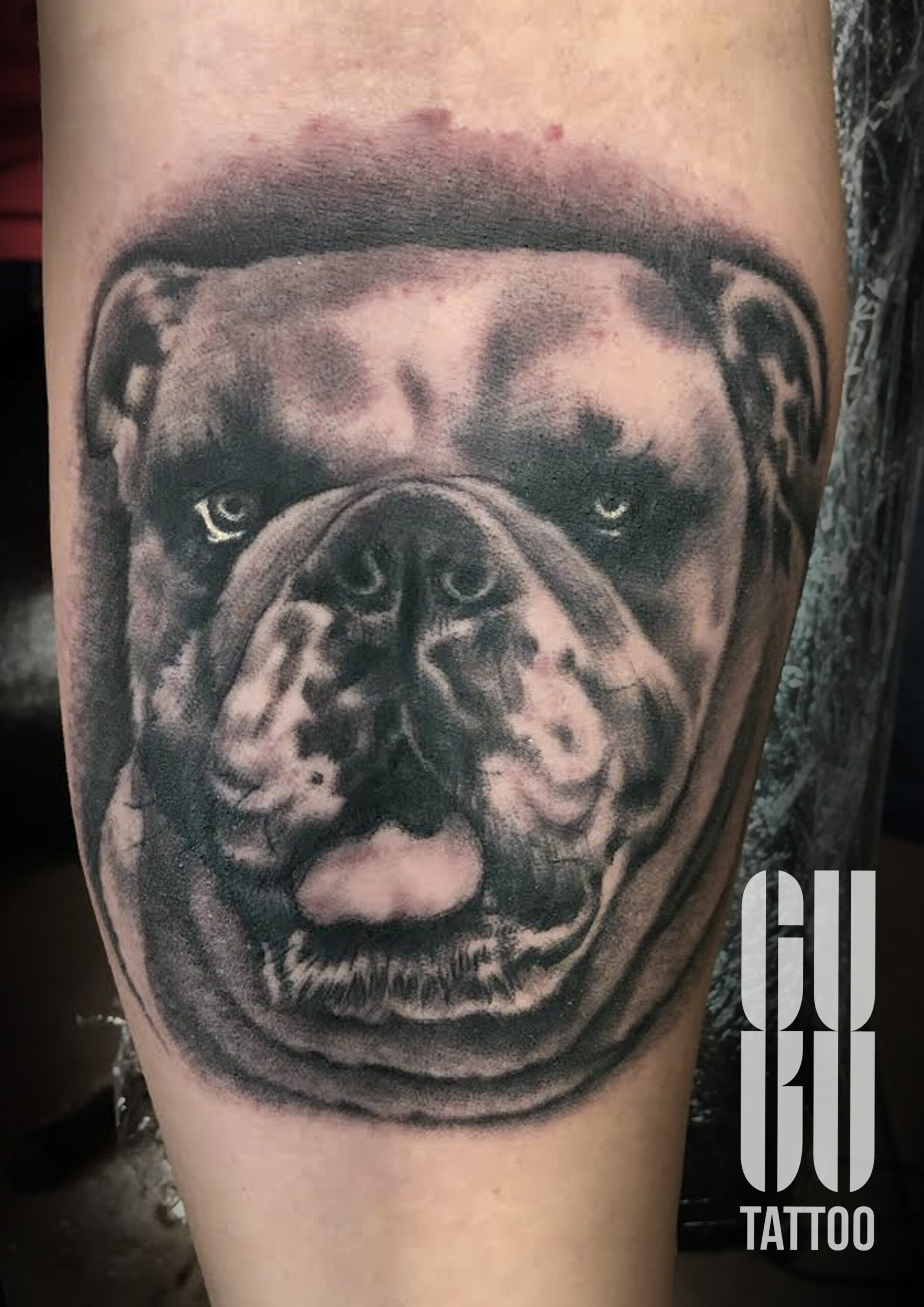 Tatuaż pies buldog Wrocław Guru Tattoo